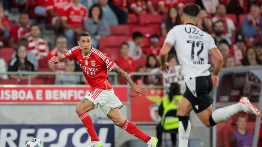 V. Guimarães-Benfica: um clássico de domínio encarnado há 12 anos