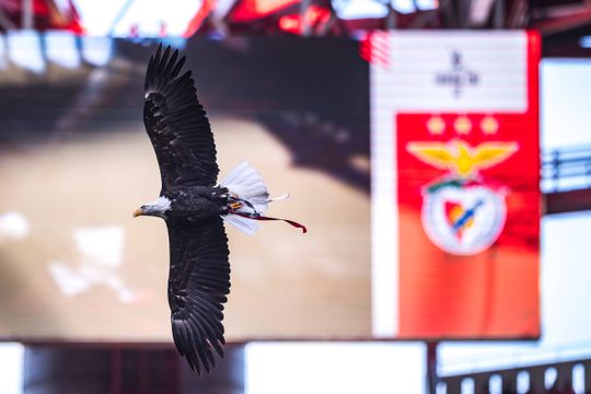 Águias reagem em comunicado: «Benfica defender-se-á de acusações infundadas»