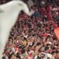 A festa dos adeptos do Benfica. Foto Miguel Nunes
