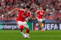 «Estou muito cómodo no Benfica, tratam-me bem»