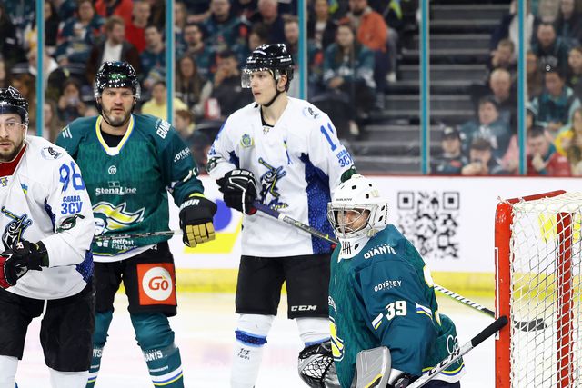 Transferência no hóquei no gelo: Petr Cech é reforço do Belfast Giants