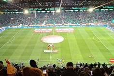Entrada das equipas no Sporting-Casa Pia em Alvalade