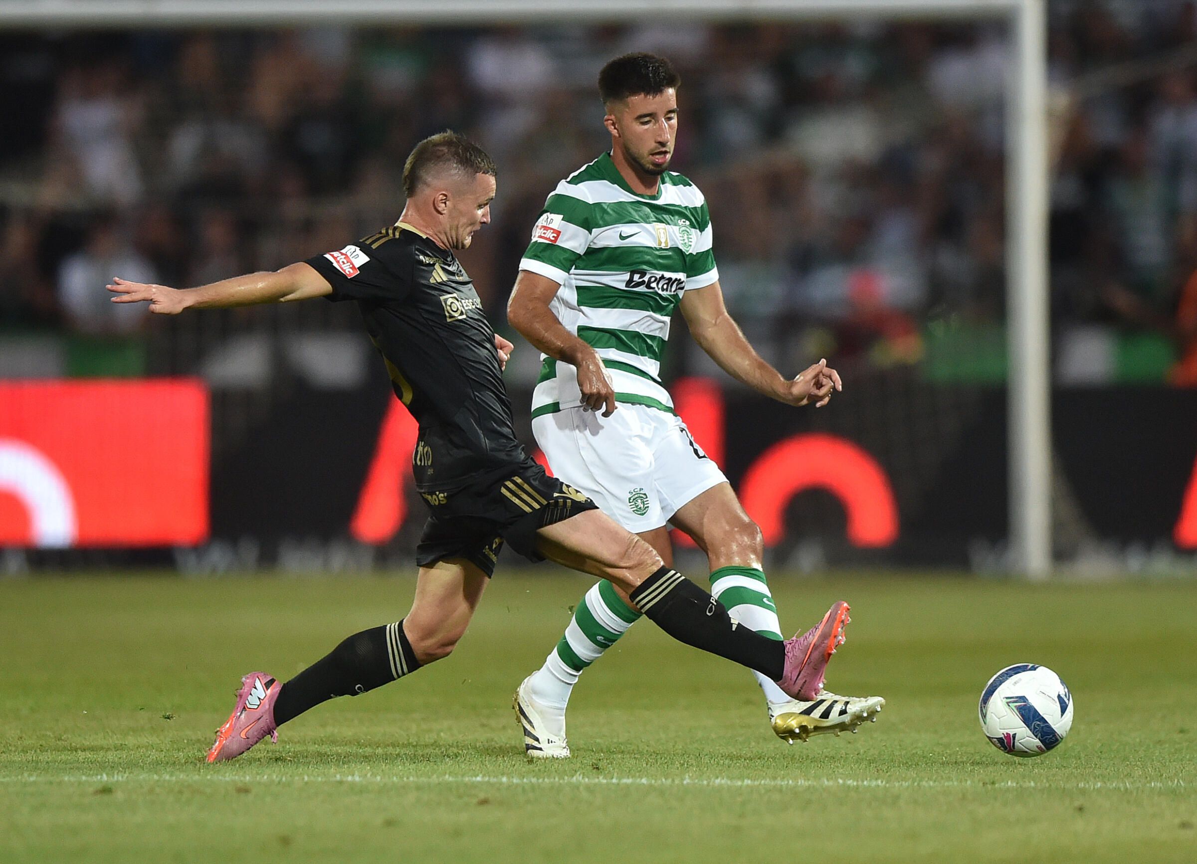 Gonçalo Inácio e Livolant (Foto: Miguel Nunes)