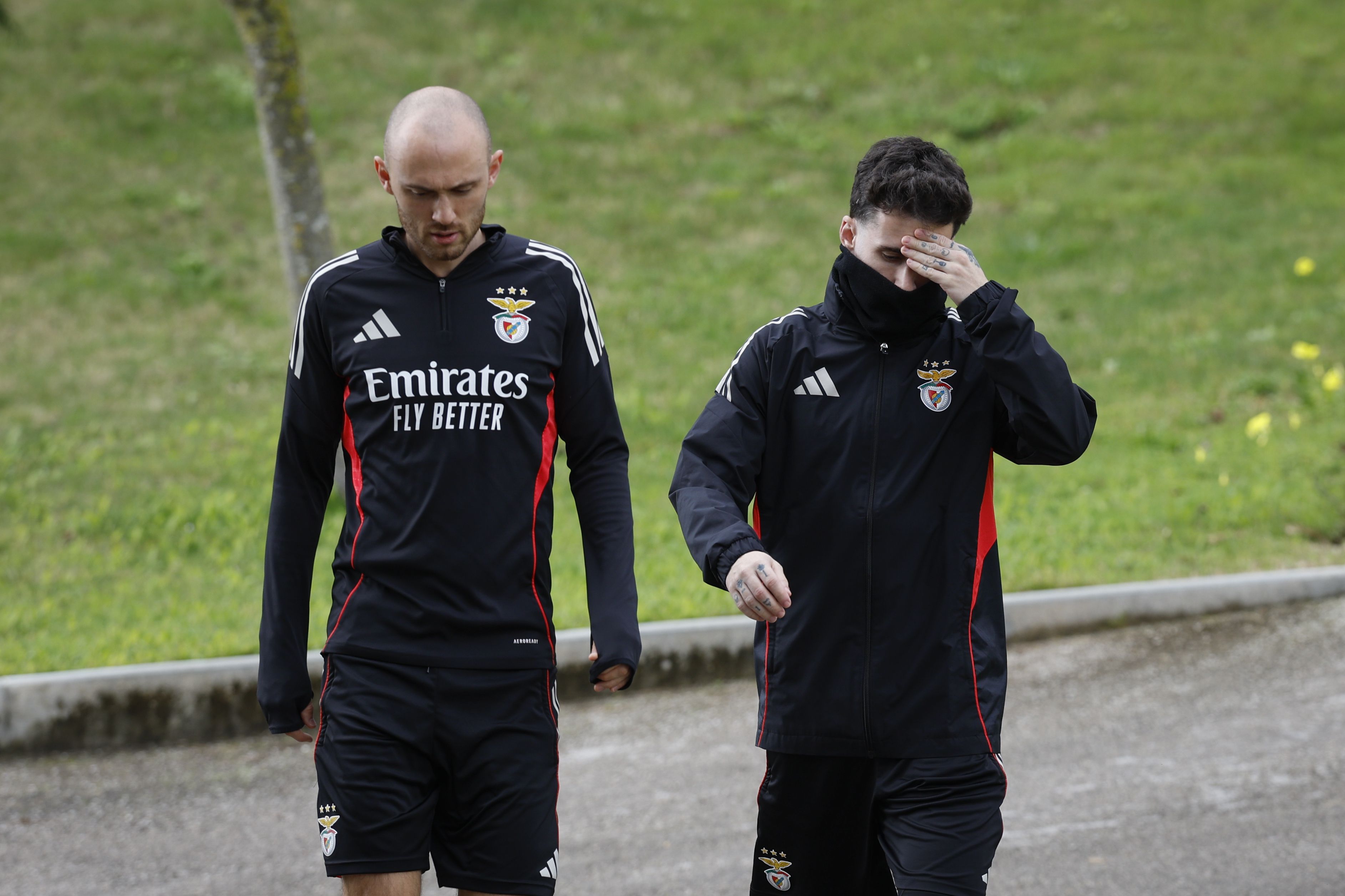 Aursnes e Rafa Silva avançam para o último treino do Benfica antes do Real Madrid - Foto: António Pedro Santos/LUSA