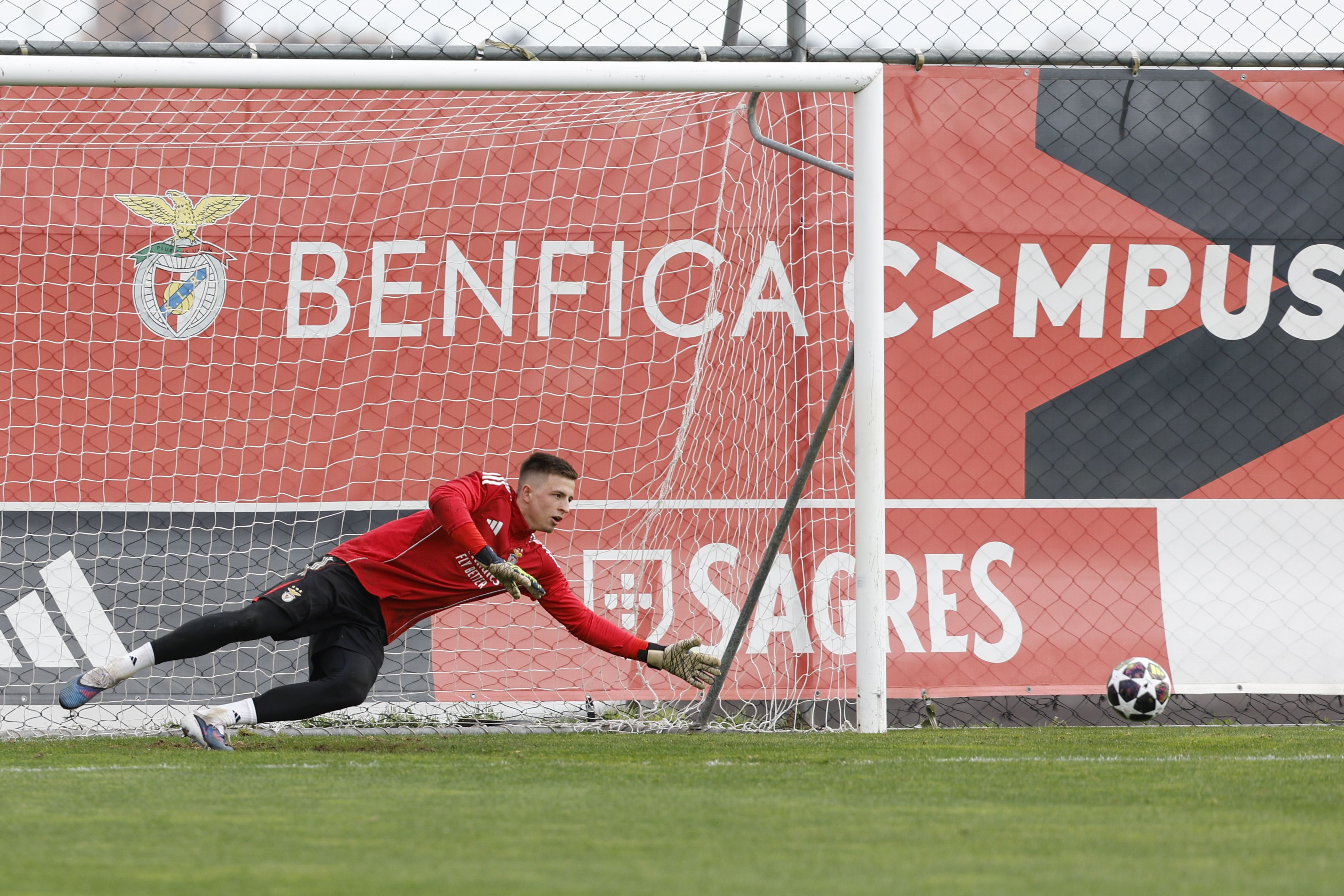 Trubin aquece os motores no último treino do Benfica antes do Real Madrid - Foto: António Pedro Santos/LUSA