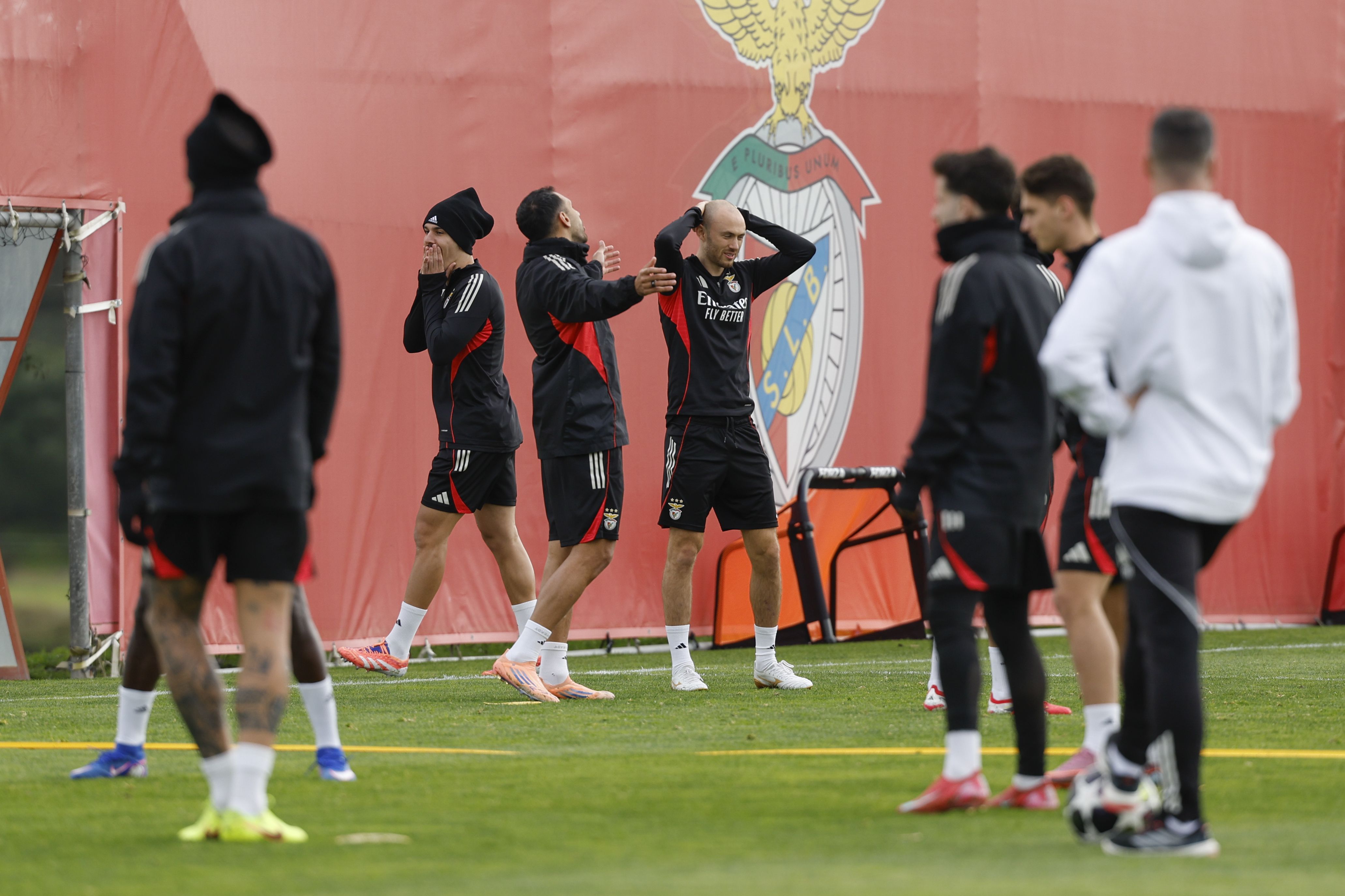 Último treino do Benfica antes do Real Madrid - Foto: António Pedro Santos/LUSA