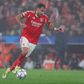 Pavlidis, avançado do Benfica