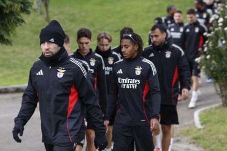 Treino do Benfica no Seixal (foto: SL Benfica)