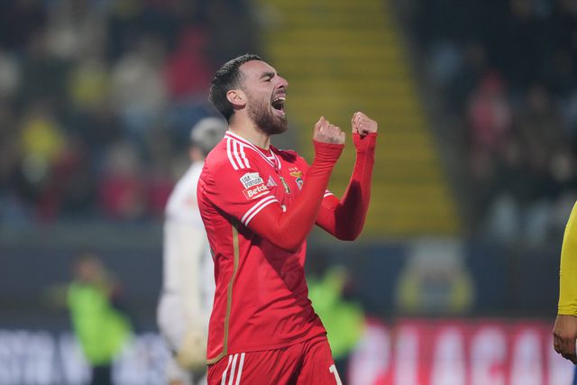 «Dêem-me o papel certo no Benfica!»