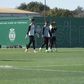 Sporting faz o último treino antes do Bodo/Glimt sem Luís Guilherme