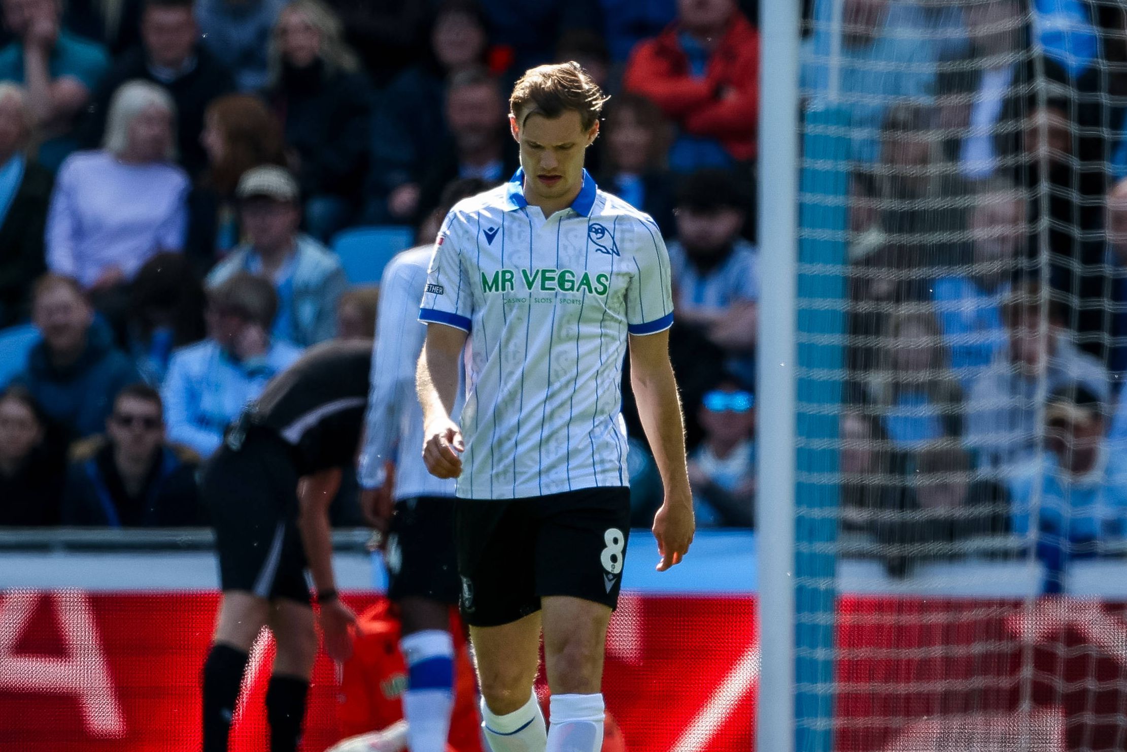 Svante Ingelsson, jogador do Sheffield Wednesday