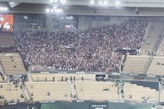 A grande festa do SC Braga em Sevilha