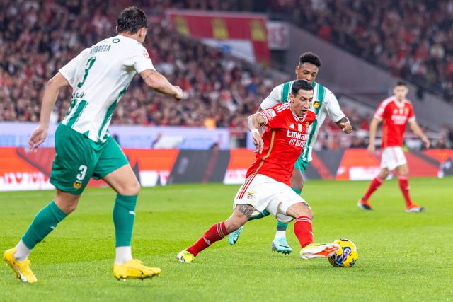 Rio Ave e Benfica defrontam-se às 20.45 horas. Foto Nuno Branco/IMAGO