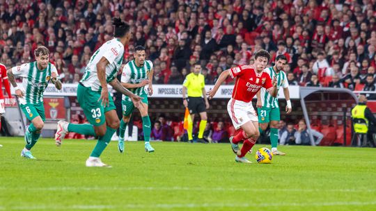 Rio Ave-Benfica: fechar a época nos Arcos em busca do triunfo