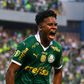 Endrick foi reavaliado no Palmeiras e não tem prazo para voltar