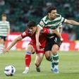 Sporting-Gil Vicente, 34.ª jornada da Liga 2025/26 (ANTONIO PEDRO SANTOS/LUSA)