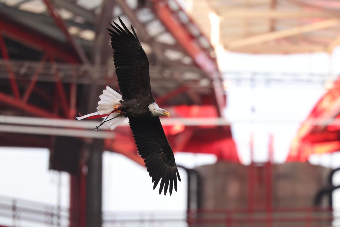 Foto SL Benfica