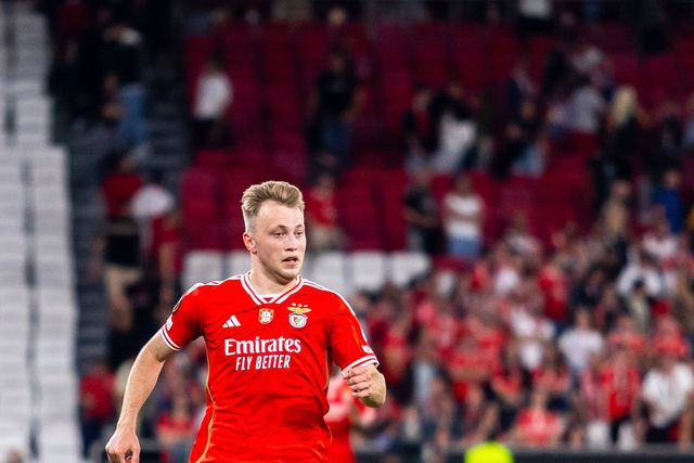 «Benfica aceitaria 6 ou 7 milhões por Tengstedt»