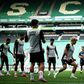 Novo relvado do Alvalade 2.0 vai ser estreado este domingo