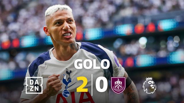 Um pombo a andar de bicicleta? Em Londres há coisas estranhas... e bonitas