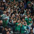 Sporting-Moreirense: inexpugnável Alvalade à prova
