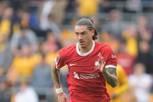 «Darwin parece uma nova contratação»