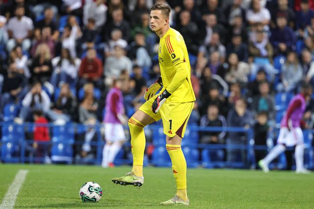 Schmidt: «Sabíamos que Trubin é muito bom»