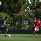 Benfica foi mais eficaz no capítulo da finalização na receção aos leões - Foto: Sporting CP