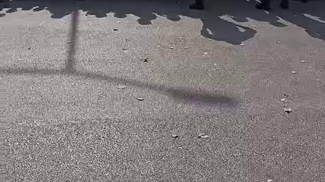 Polícia mantém adeptos afastados do hotel da Seleção