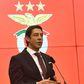 Rui Costa ilibado é trunfo para Adidas e Emirates…