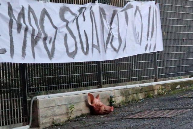 Spezia acordou com cabeça de porco à porta do centro de treinos