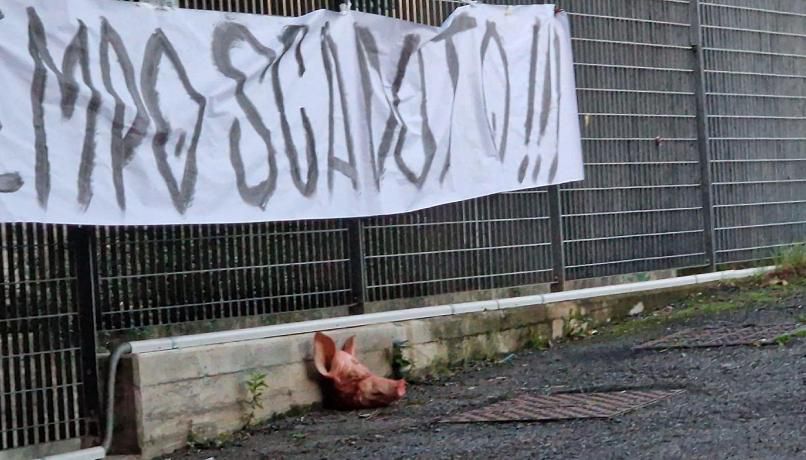 Spezia acordou com cabeça de porco à porta do centro de treinos