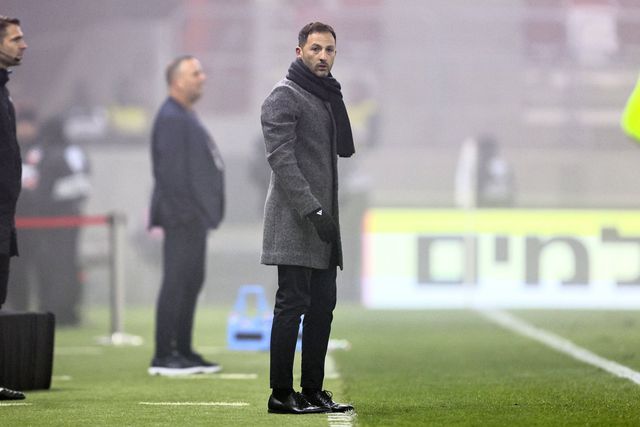 Domenico Tedesco, que já não é selecionador da Bélgica, a olhar para o relvado