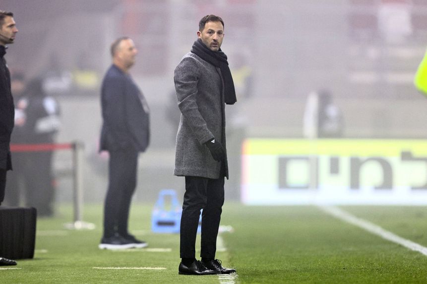 Domenico Tedesco, que já não é selecionador da Bélgica, a olhar para o relvado