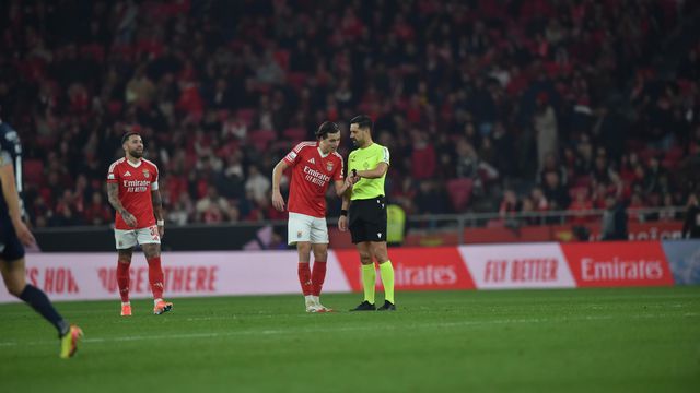 Enorme assobiadela na Luz para o árbitro