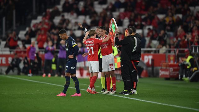 Luz levanta-se para aplaudir Schjelderup