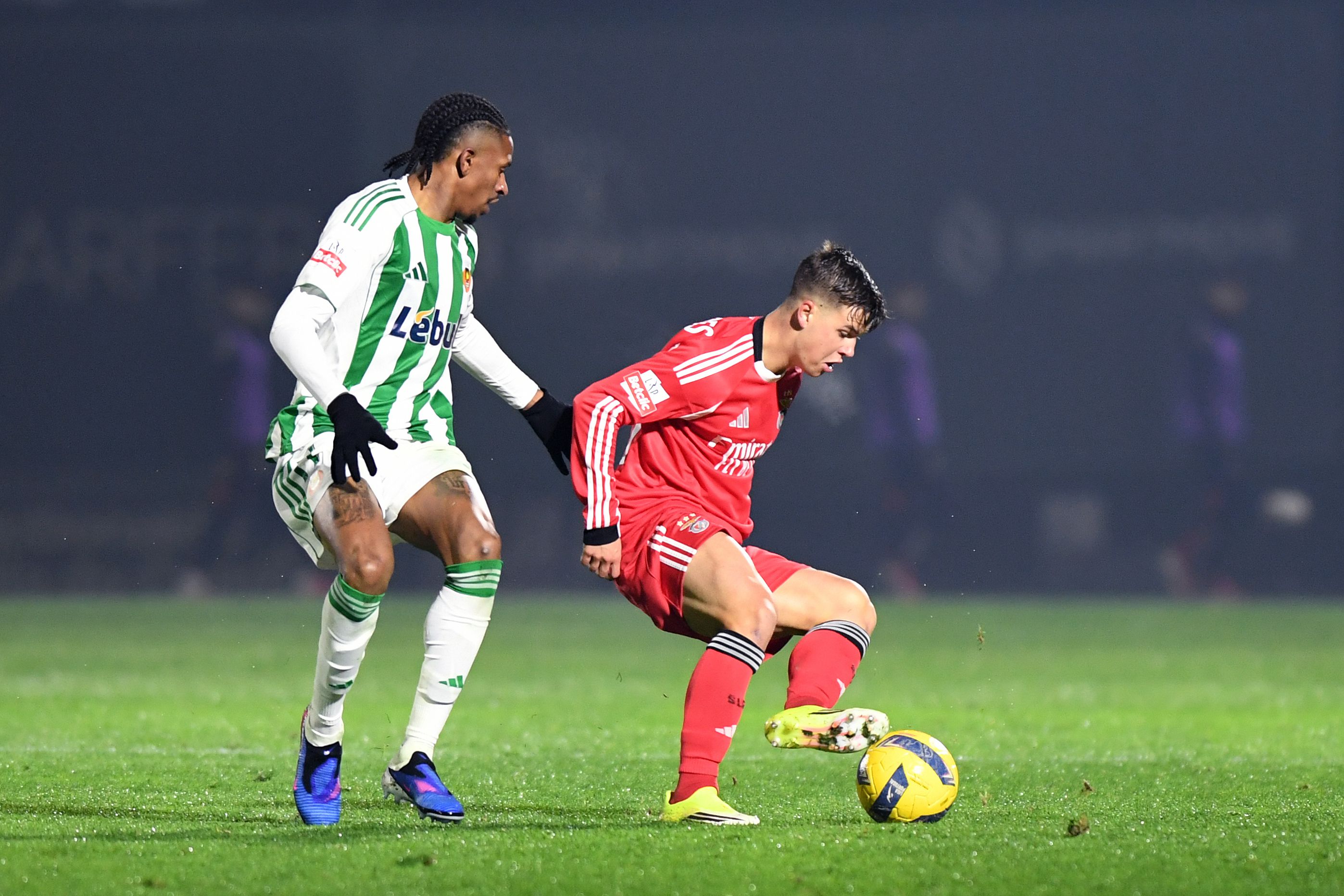 Dahl  -Foto: Rogério Ferreira/ Kapta +