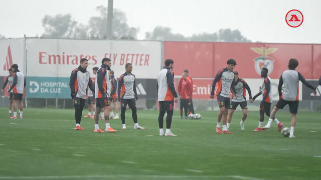 Irene Palma com as últimas informações do treino do Benfica