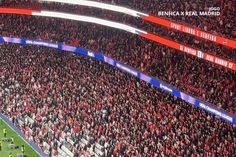 Luz de cabeça perdida com Vinícius