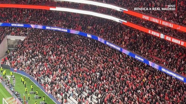 Luz de cabeça perdida com Vinícius