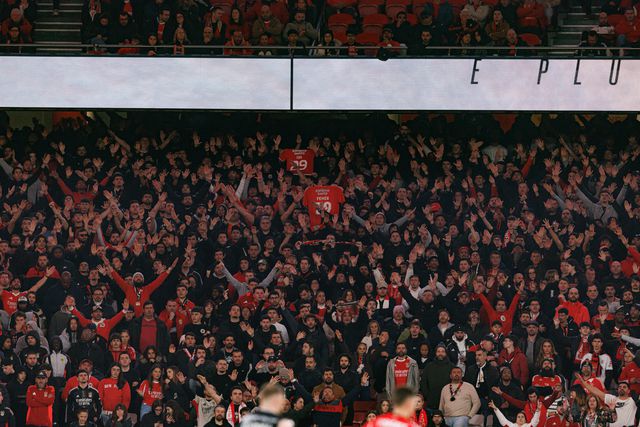 Fãs do Benfica no Estádio da Luz (IMAGO)