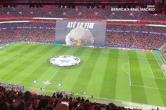 Entrada das equipas para o duelo