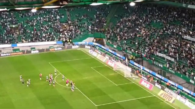 Adeptos eufóricos com exibição leonina