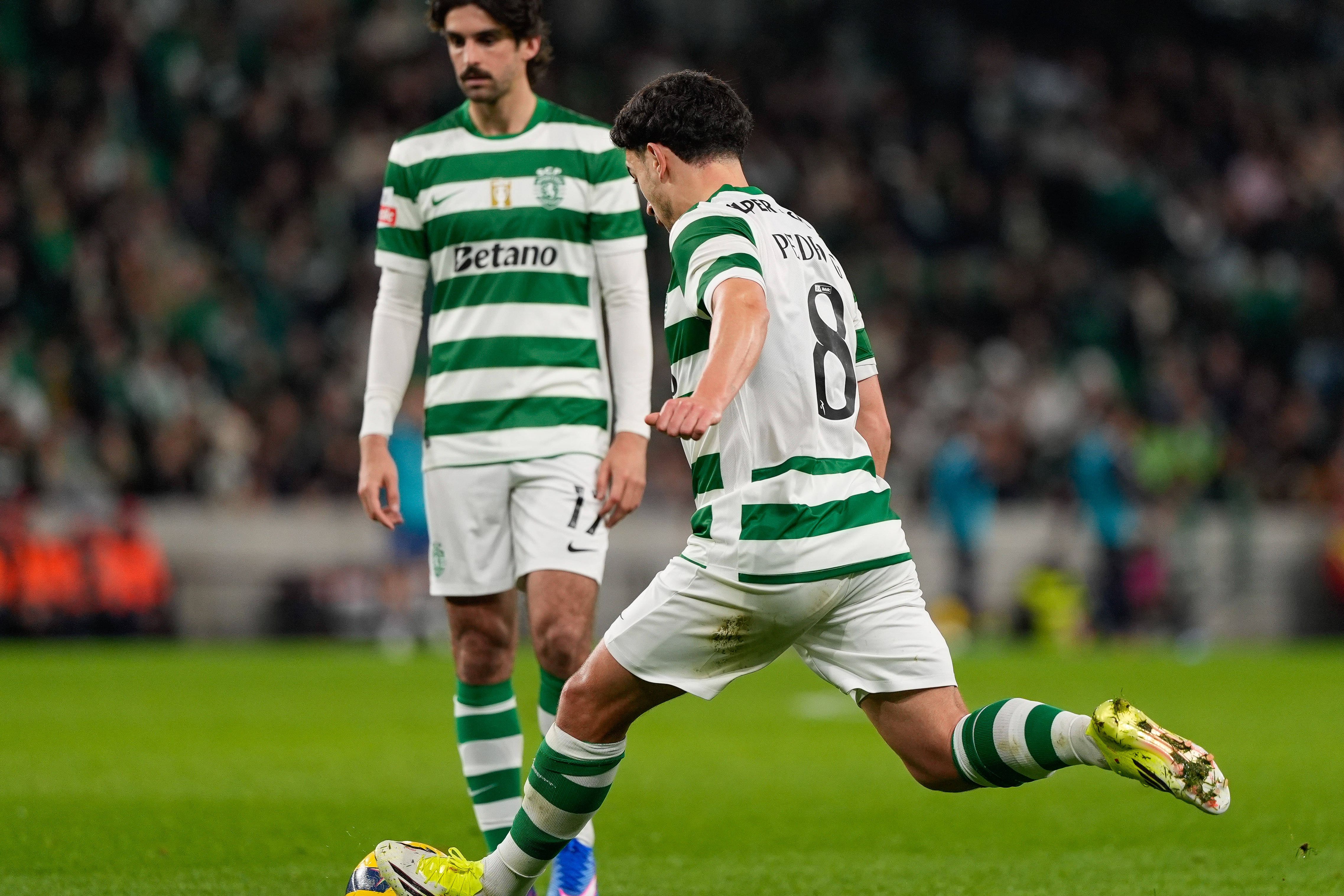 Pote está de volta à titularidade e será uma das armas de ataque dos leões na receção ao emblema nórdico