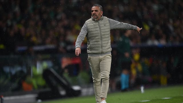 Rui Borges no banco do Sporting no jogo frente ao Bodo/Glimt - Foto: Miguel Nunes