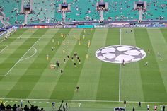 Eis os leões no tapete verde