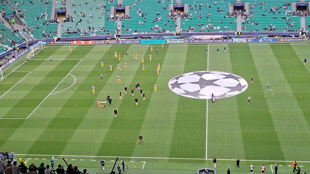 Eis os leões no tapete verde