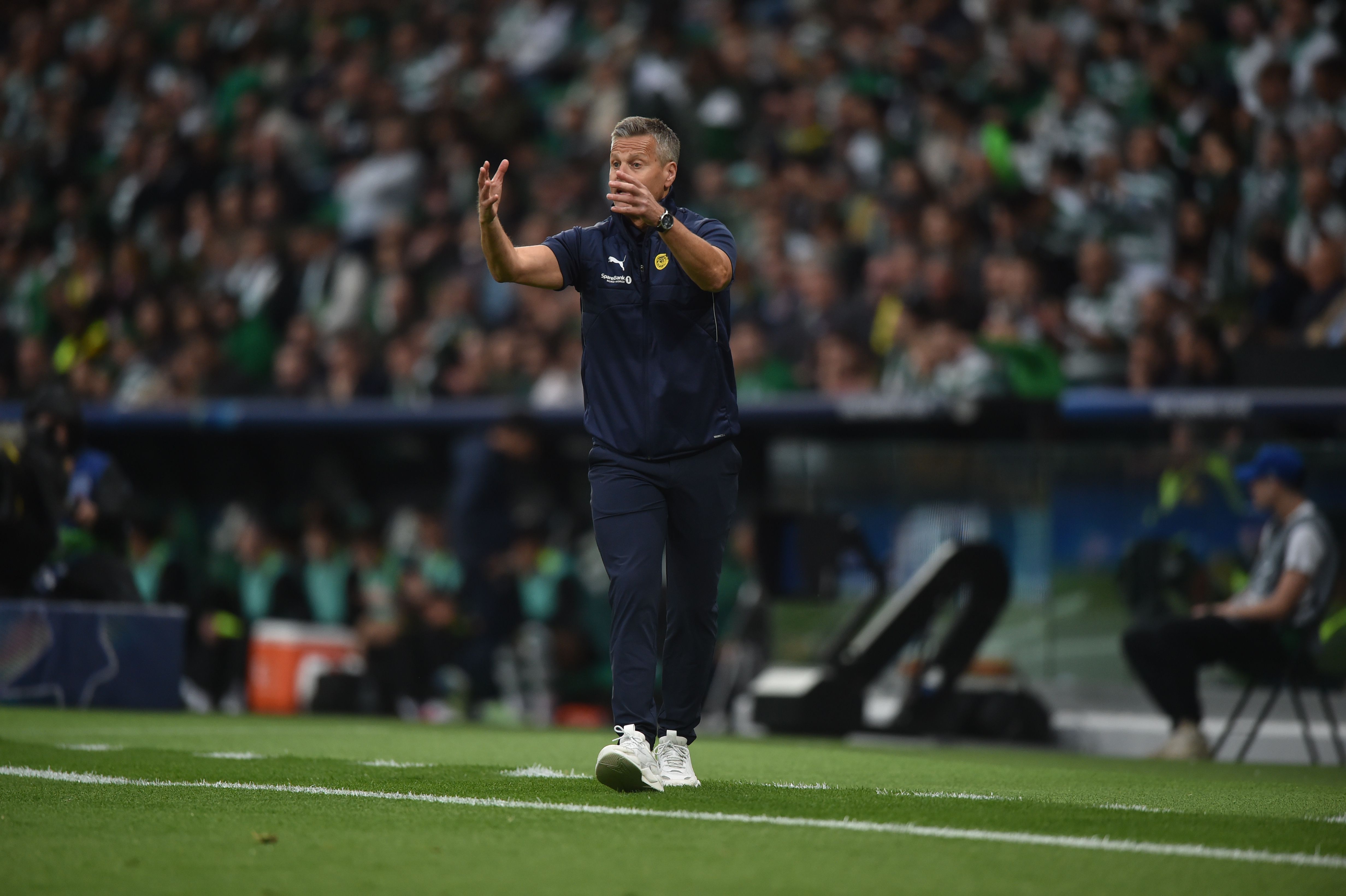 Kjetil Knutsen, treinador do Bodo/Glimt em Alvalade - Foto: Miguel Nunes