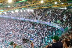 Explosão de alegria em Alvalade