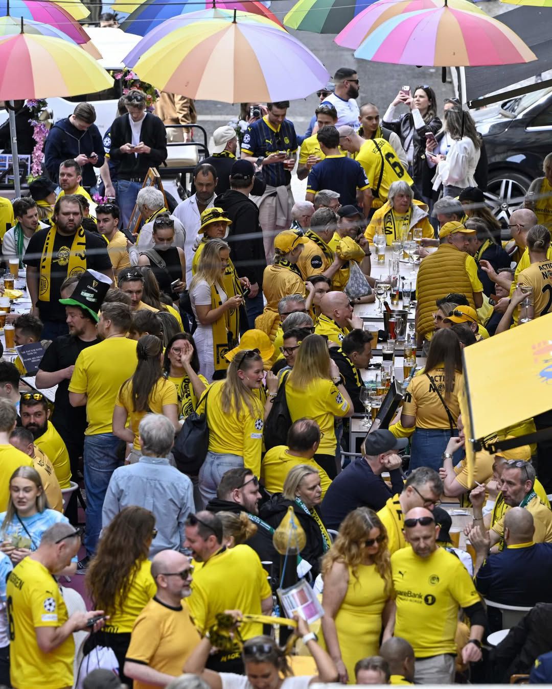 Festa dos adeptos do Bodo/Glimt em Lisboa (IG)